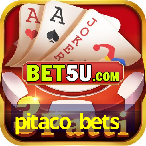 pitaco bets